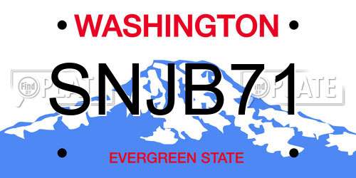 SNJB71 Washington License Plate
