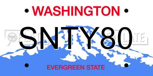 SNTY80 Washington License Plate