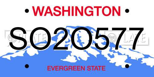 SO2O577 Washington License Plate