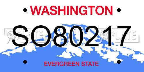 SO80217 Washington License Plate