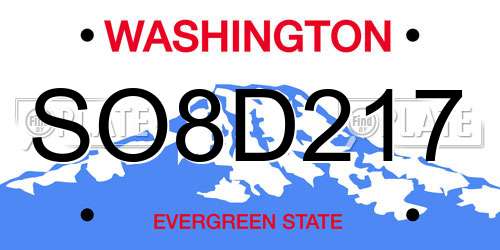 SO8D217 Washington License Plate