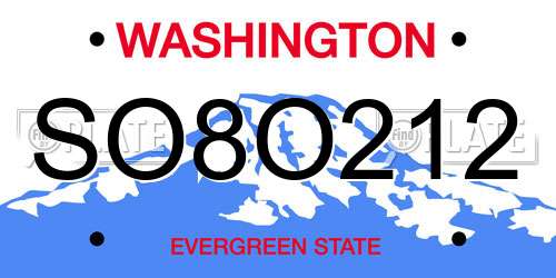 SO8O212 Washington License Plate