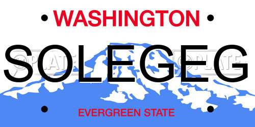 SOLEGEG Washington License Plate