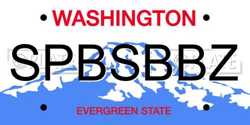 SPBSBBZ Washington License Plate