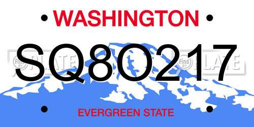 SQ8O217 Washington License Plate