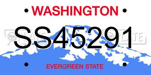 SS45291 Washington License Plate