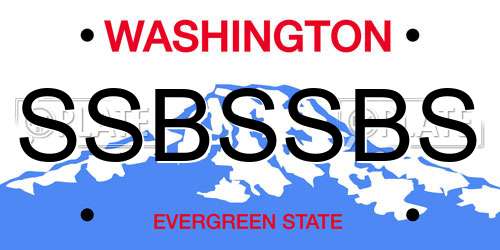 SSBSSBS Washington License Plate
