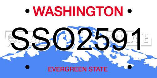 SSO2591 Washington License Plate