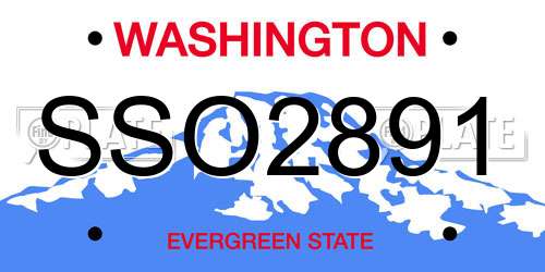 SSO2891 Washington License Plate