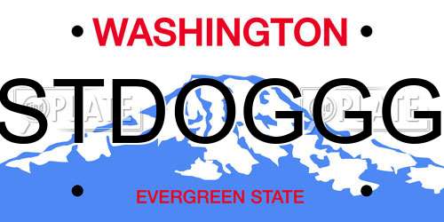 STDOGGG Washington License Plate