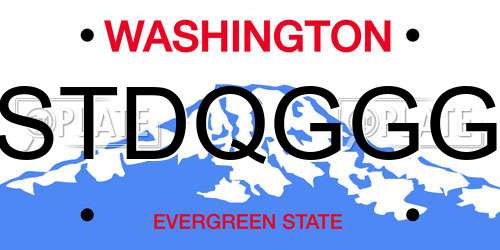 STDQGGG Washington License Plate