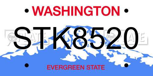 STK8520 Washington License Plate