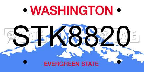 STK8820 Washington License Plate