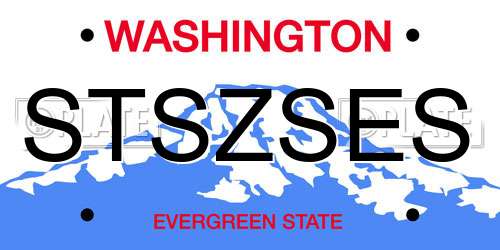STSZSES Washington License Plate