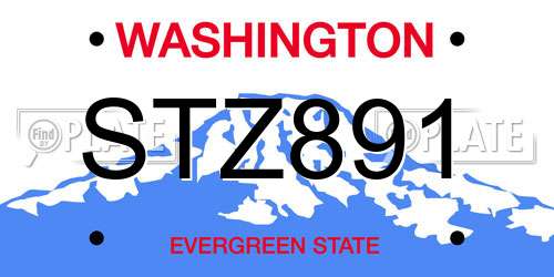 STZ891 Washington License Plate
