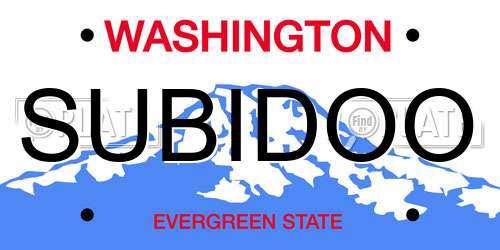 SUBIDOO Washington License Plate