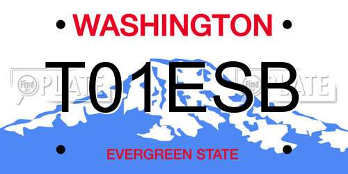 T01ESB Washington License Plate