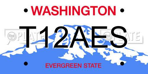 T12AES Washington License Plate