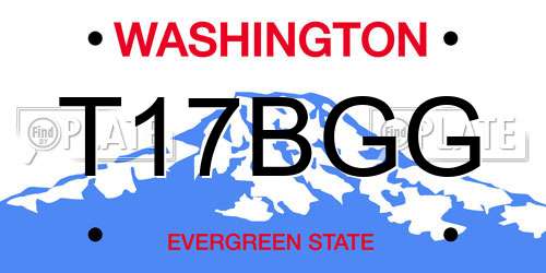 T17BGG Washington License Plate