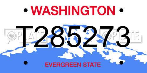 T285273 Washington License Plate