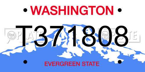 T371808 Washington License Plate