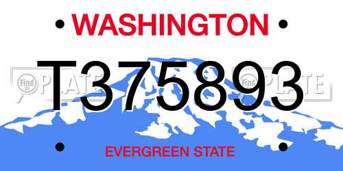 T375893 Washington License Plate
