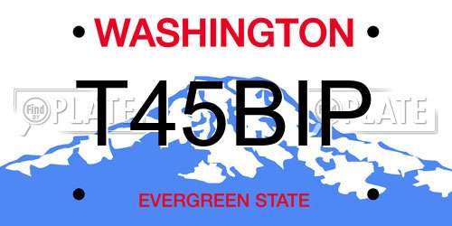 T45BIP Washington License Plate
