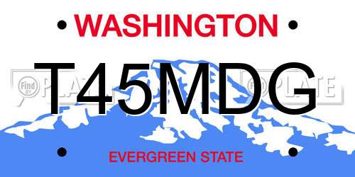 T45MDG Washington License Plate