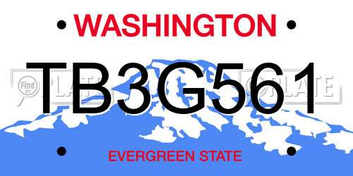 TB3G561 Washington License Plate