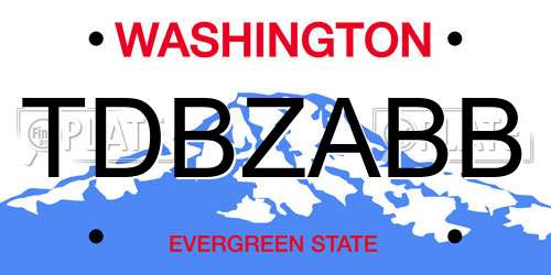 TDBZABB Washington License Plate