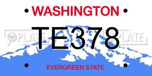 TE378 Washington License Plate