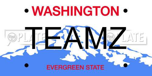 TEAMZ Washington License Plate