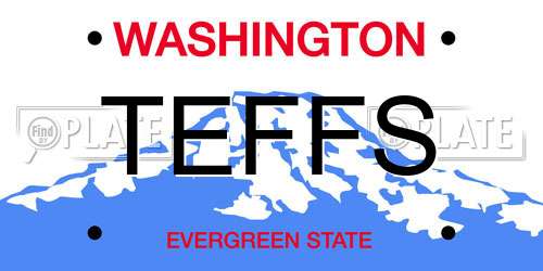 TEFFS Washington License Plate