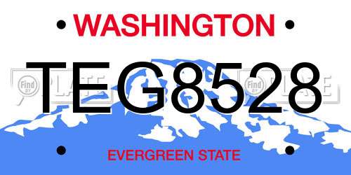 TEG8528 Washington License Plate