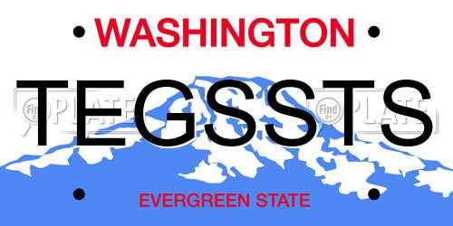 TEGSSTS Washington License Plate