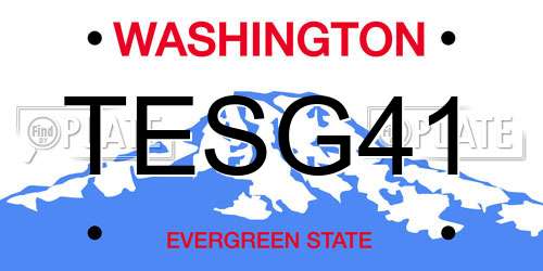 TESG41 Washington License Plate