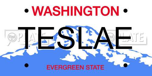 TESLAE Washington License Plate