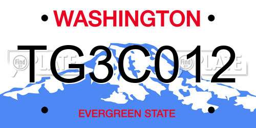 TG3C012 Washington License Plate