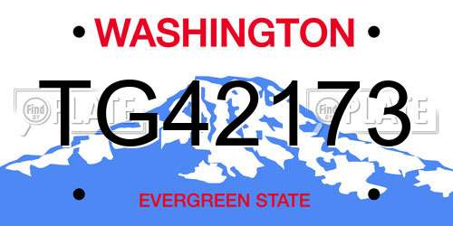 TG42173 Washington License Plate