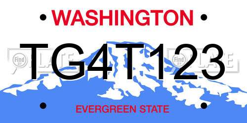 TG4T123 Washington License Plate