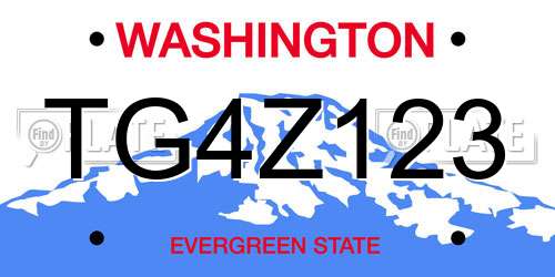 TG4Z123 Washington License Plate