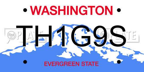 TH1G9S Washington License Plate