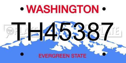 TH45387 Washington License Plate