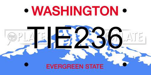 TIE236 Washington License Plate