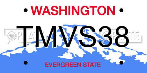 TMVS38 Washington License Plate