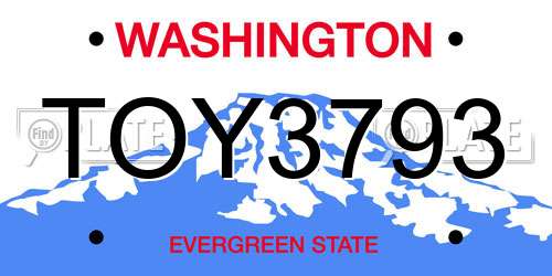 TOY3793 Washington License Plate