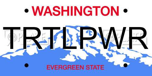 TRTLPWR Washington License Plate