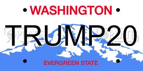 TRUMP20 Washington License Plate