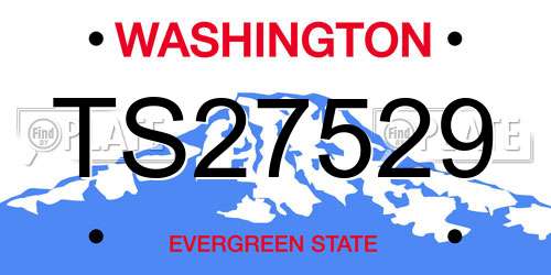 TS27529 Washington License Plate