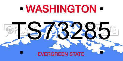 TS73285 Washington License Plate